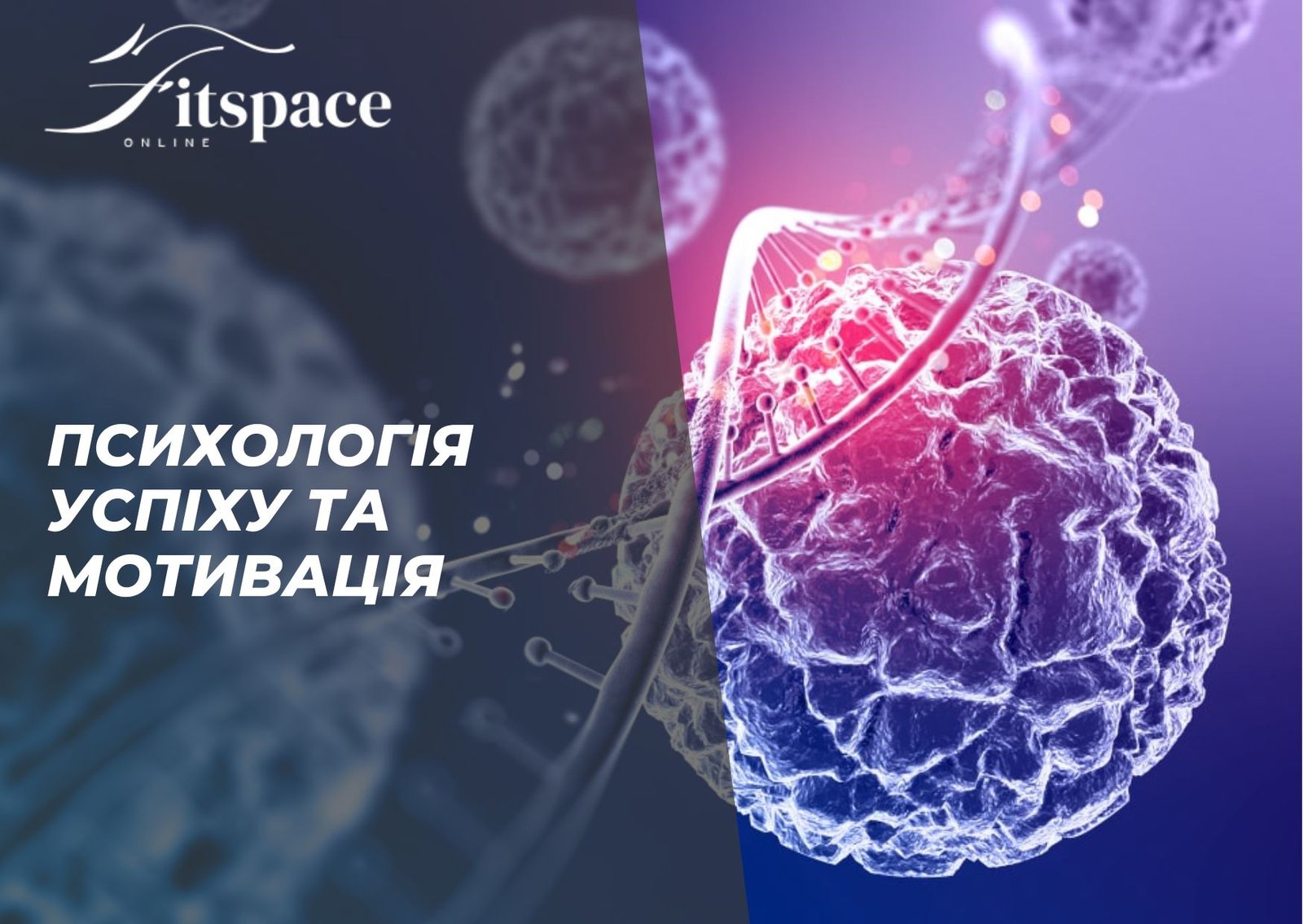 Психологія успіху та мотивація